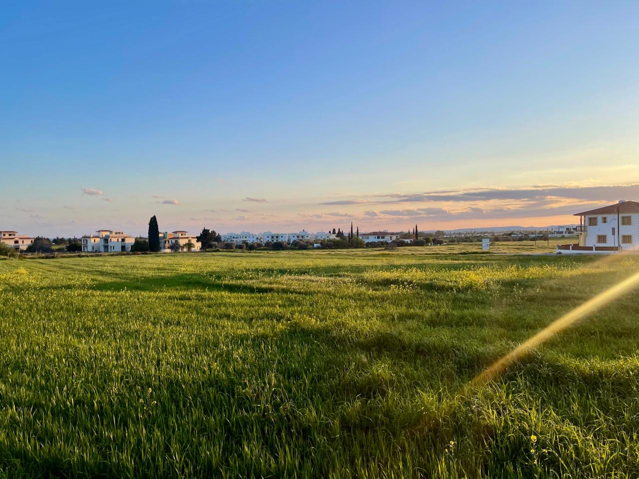 IMG-20250805-WA0152-3