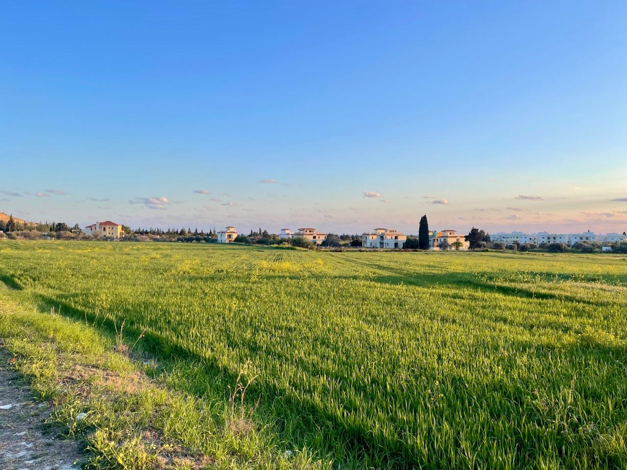 IMG-20250805-WA0165-3