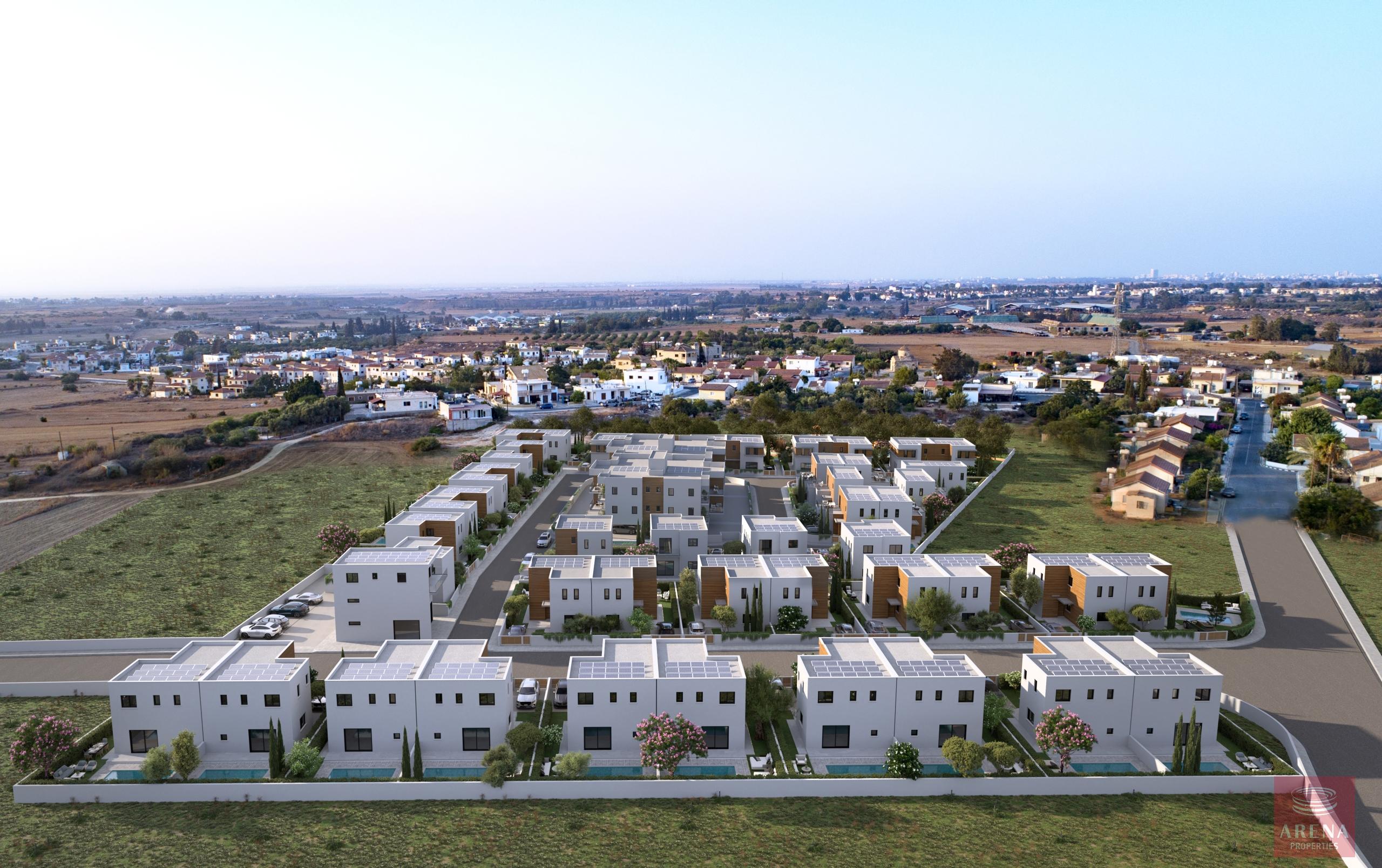 SITE-IMAGE-1-scaled-2