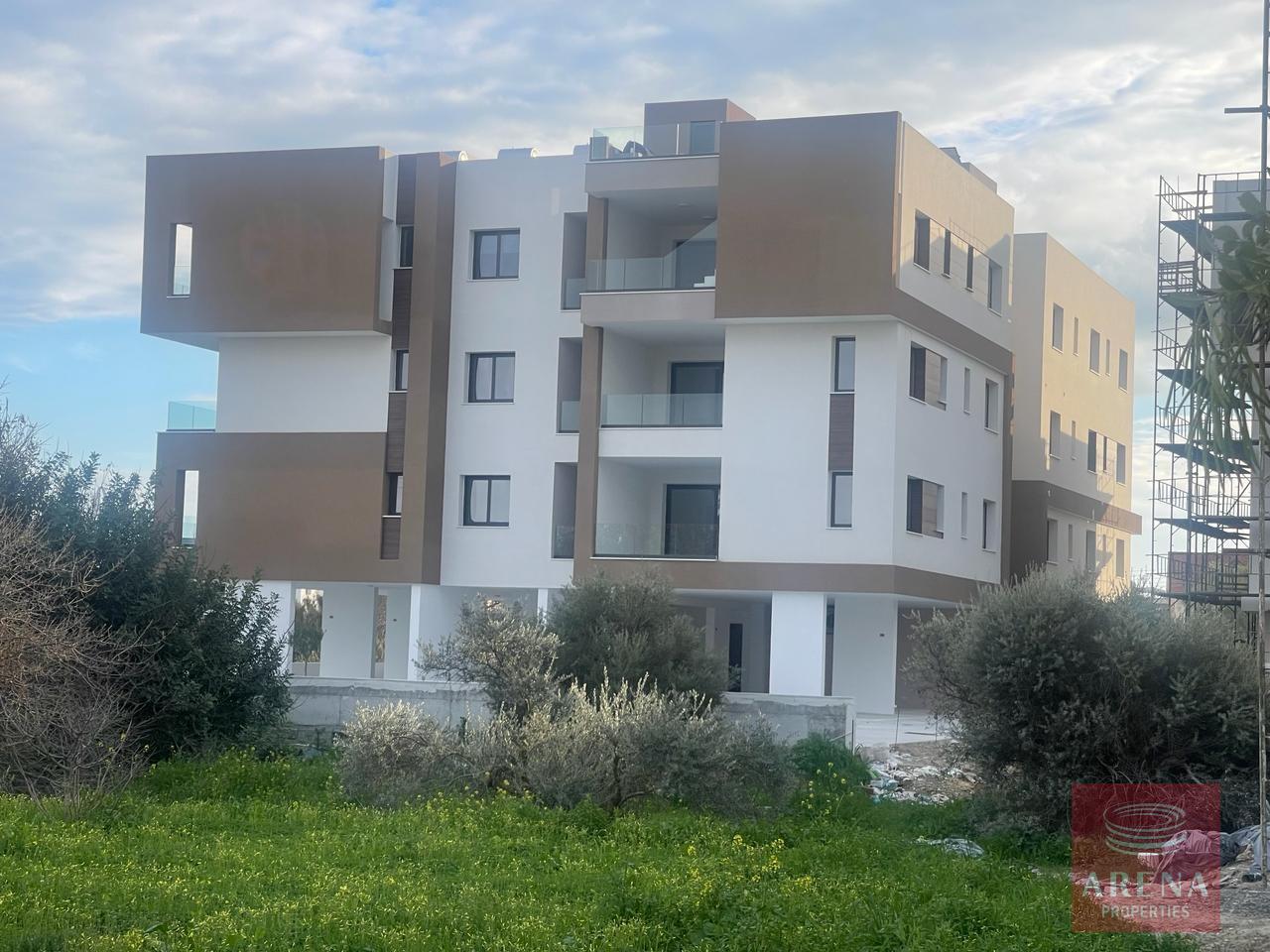 WhatsApp-Image-2024-02-20-at-4.20.02-PM-1-8