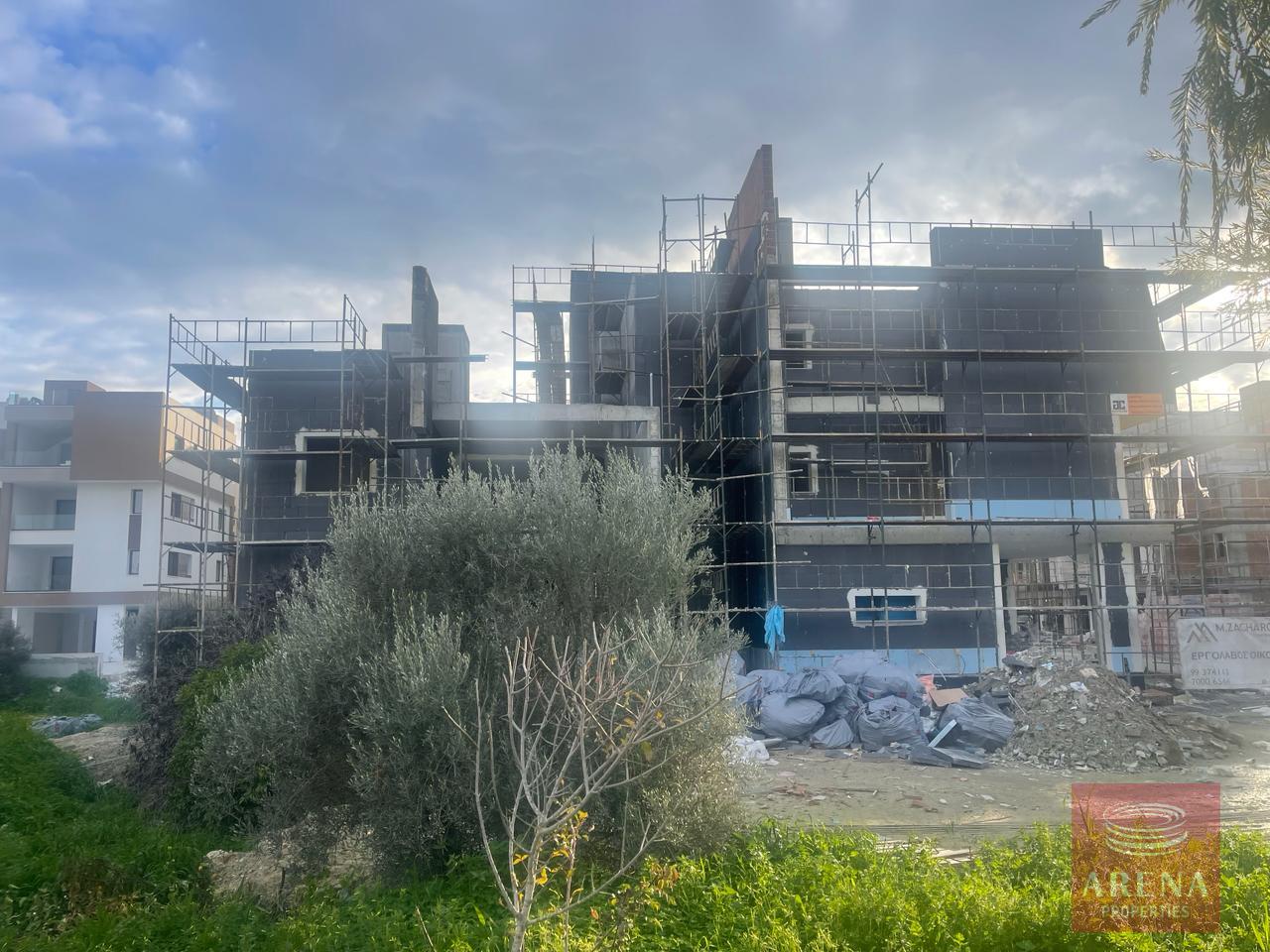 WhatsApp-Image-2024-02-20-at-4.20.02-PM-2-2