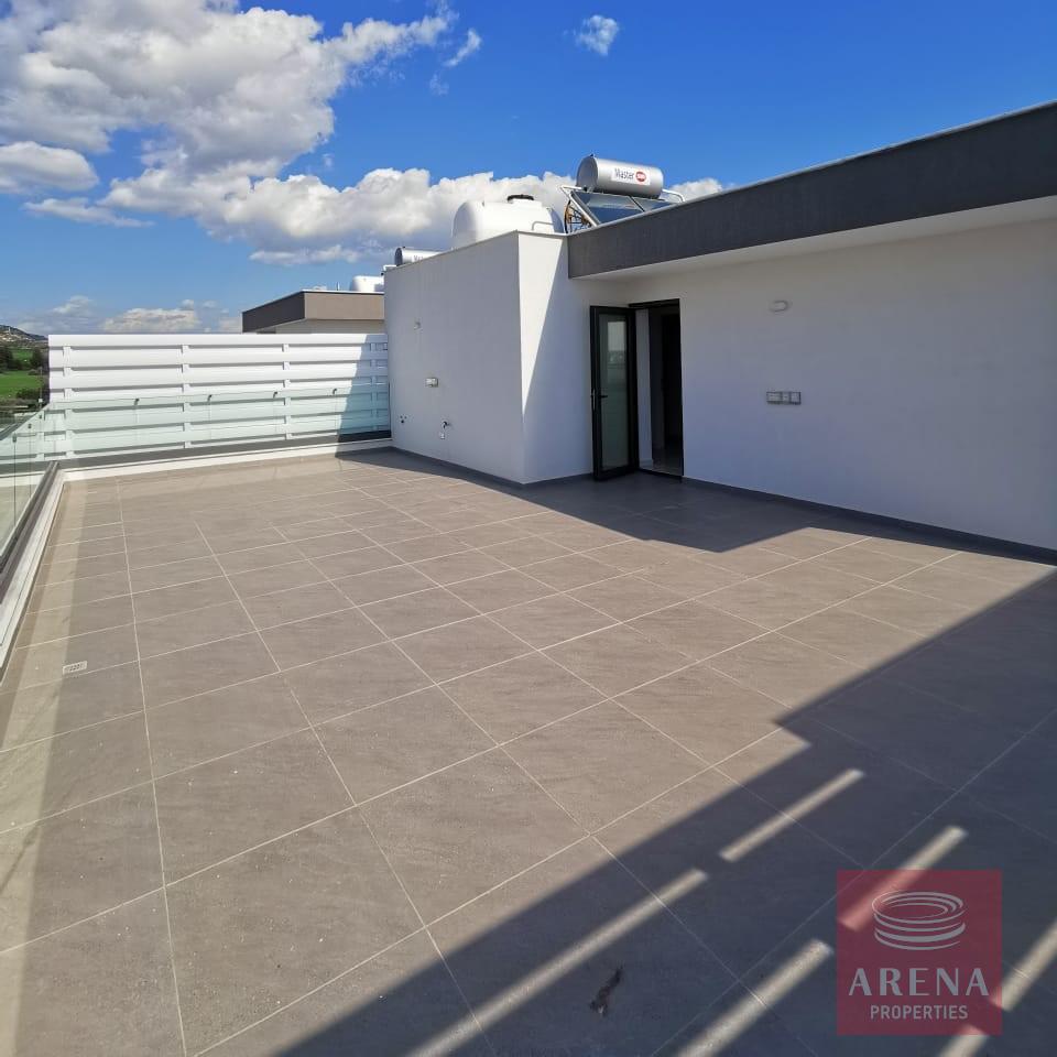 WhatsApp-Image-2024-02-29-at-11.24.08-AM-1