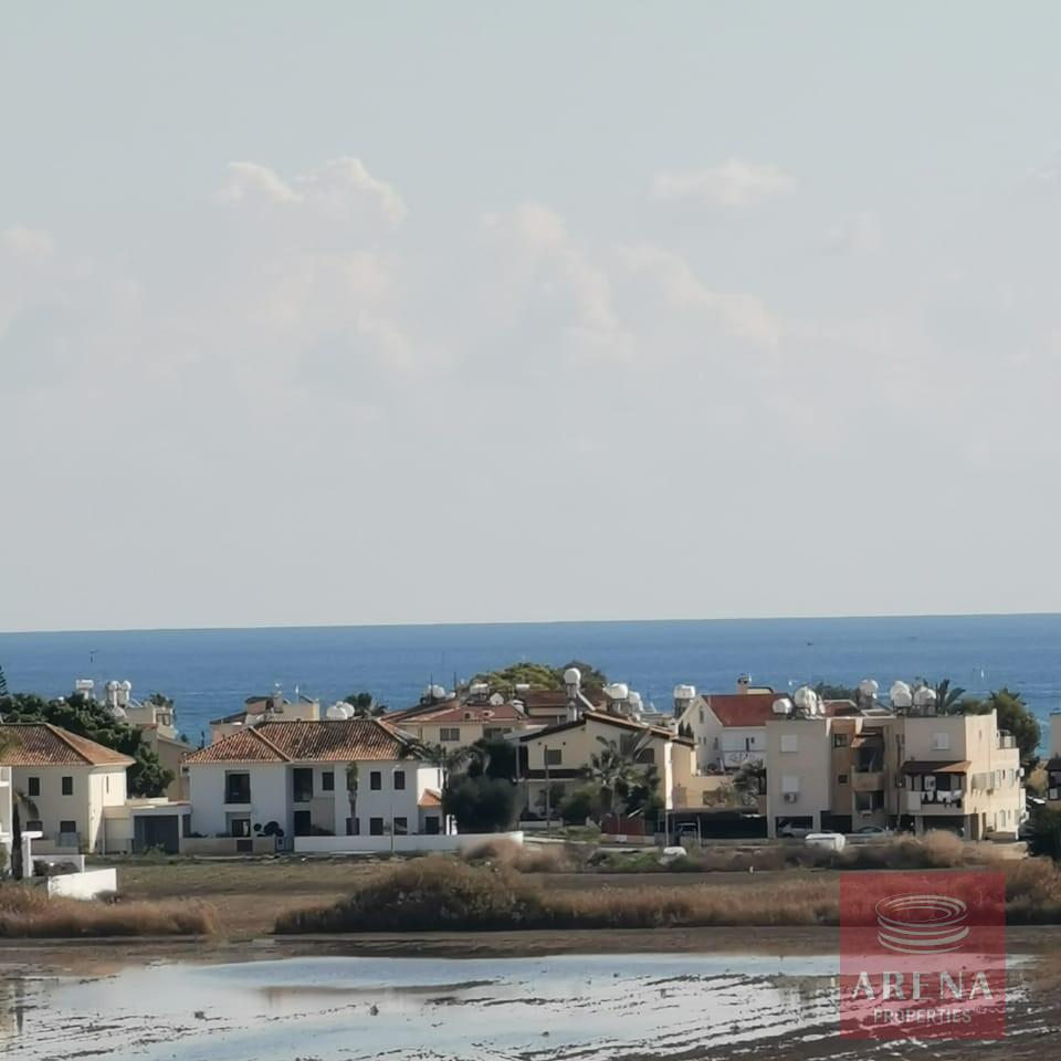 WhatsApp-Image-2024-02-29-at-11.24.08-AM