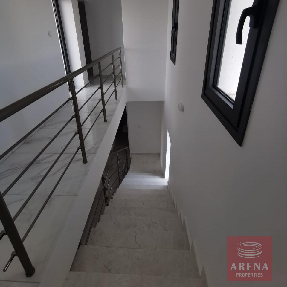 WhatsApp-Image-2024-02-29-at-11.24.11-AM