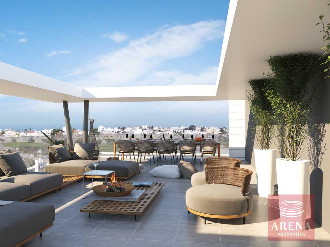 final-lilac-cam-15-copy-1