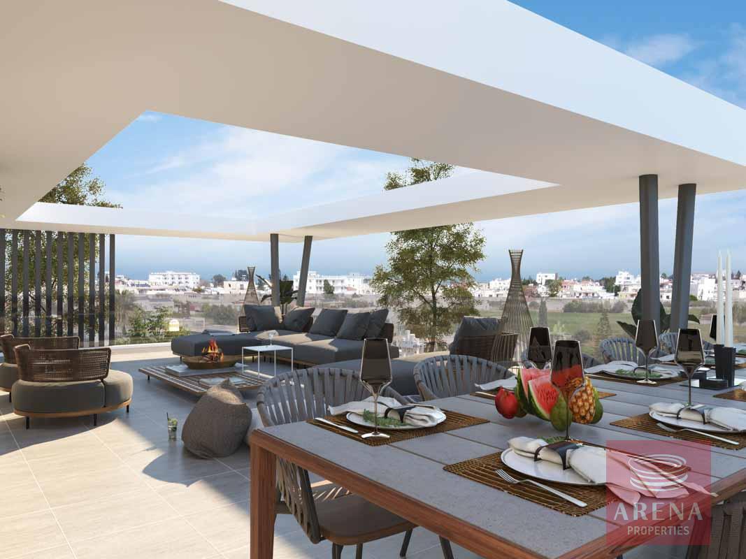 final-lilac-cam-18-copy-1