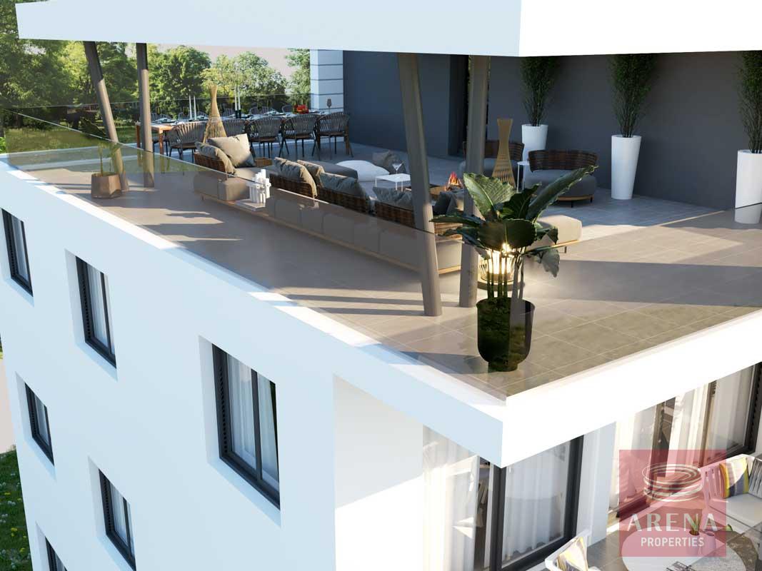 final-lilac-cam-5-copy-1