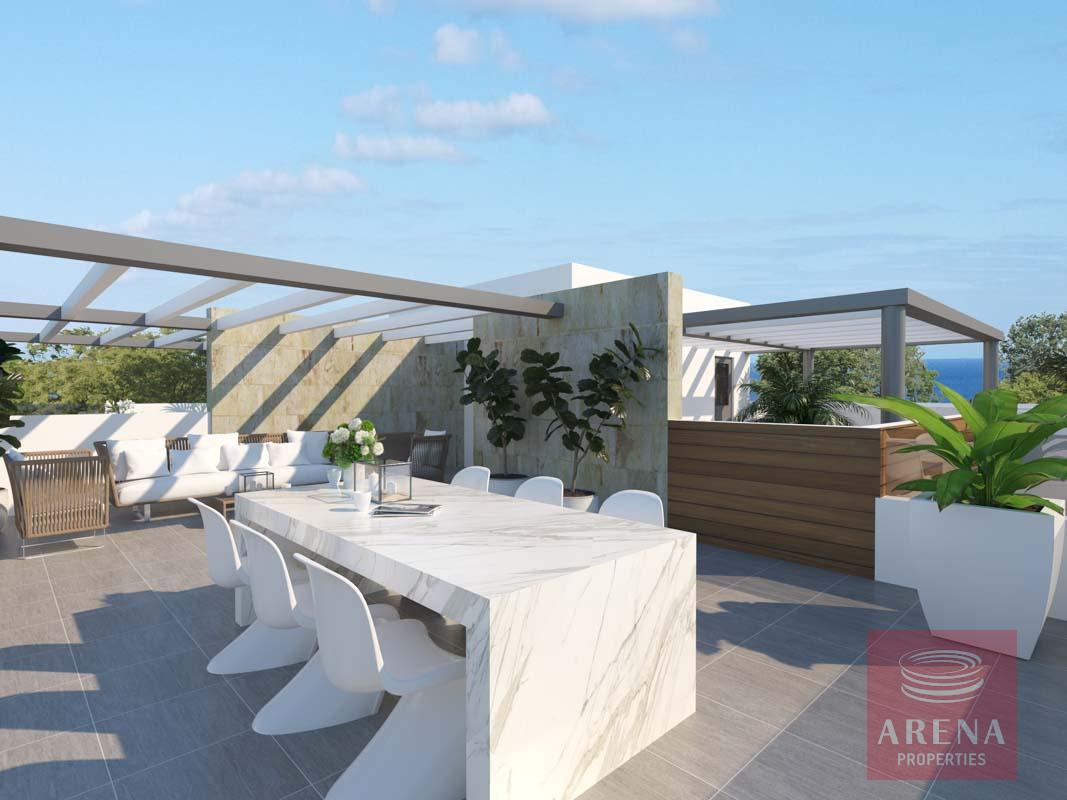 final-majestic-blu-cam-18-copy