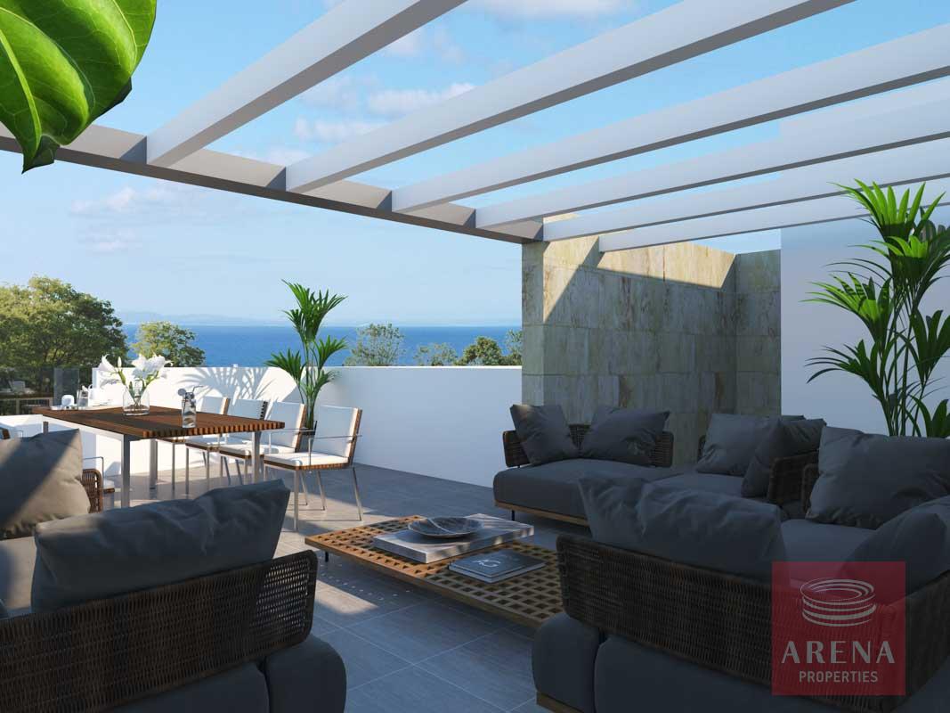 final-majestic-blu-cam-19-copy