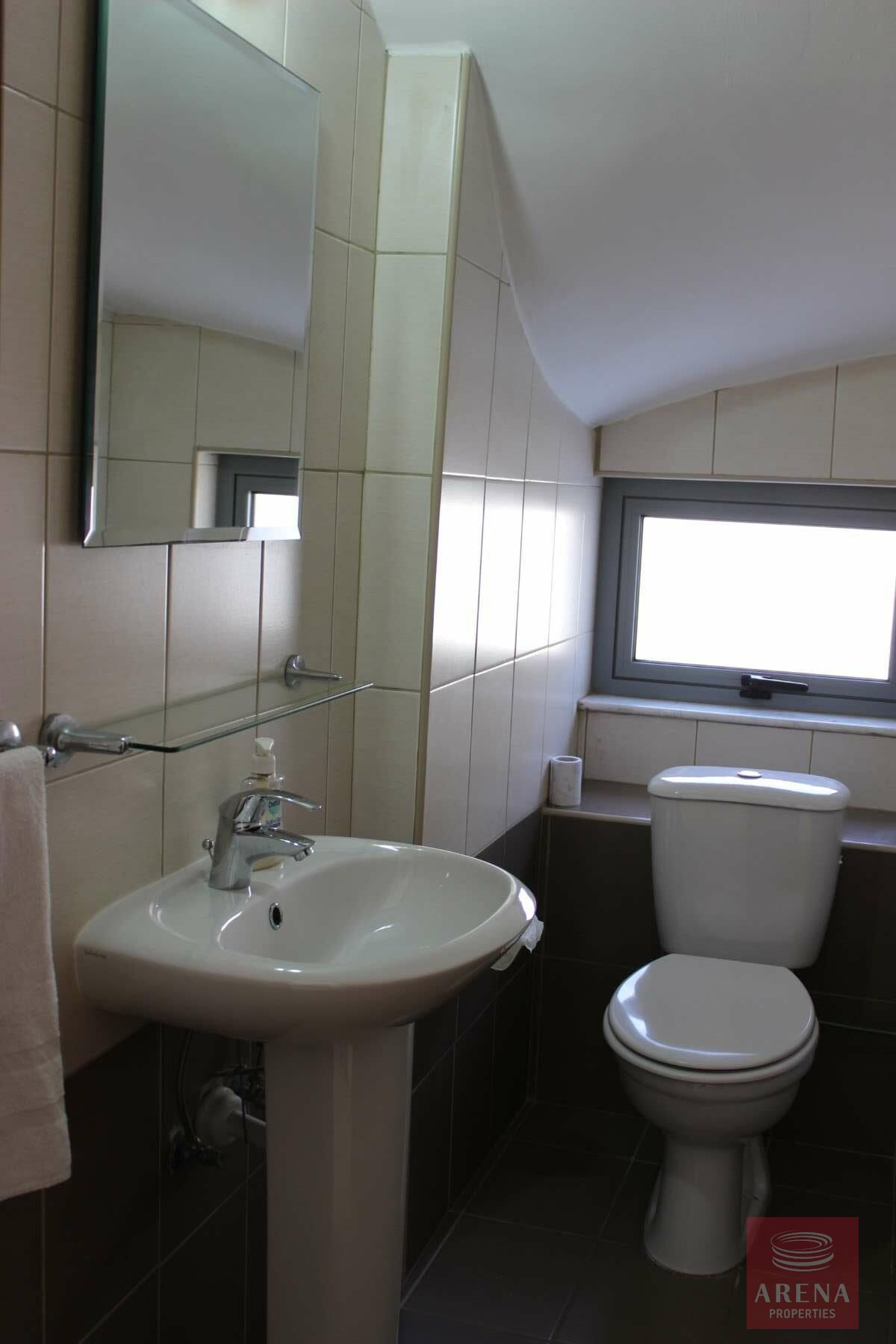 sunflower_6_22-rotated-1