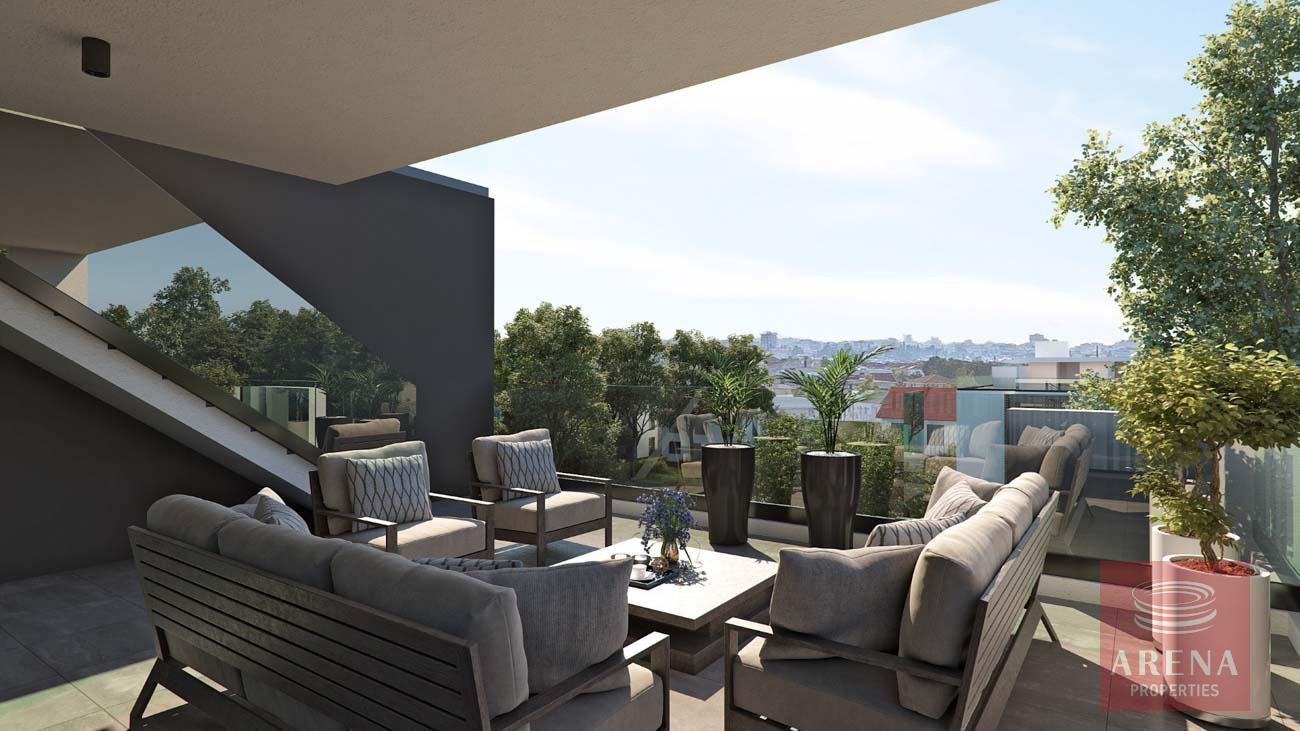 12-APTS-IN-DROSIA-9165-1