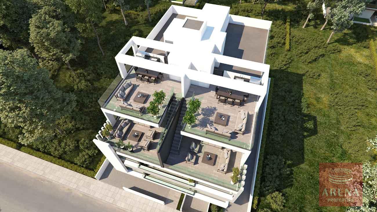 8-APTS-IN-DROSIA-9165-2