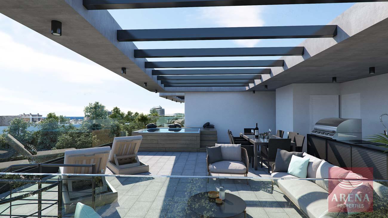 APTS-IN-LIVADOA-AREA-8775-12-2