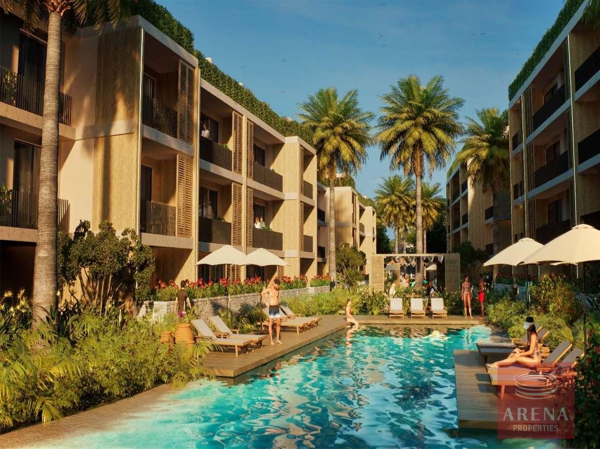 6a33add3d13b6-17