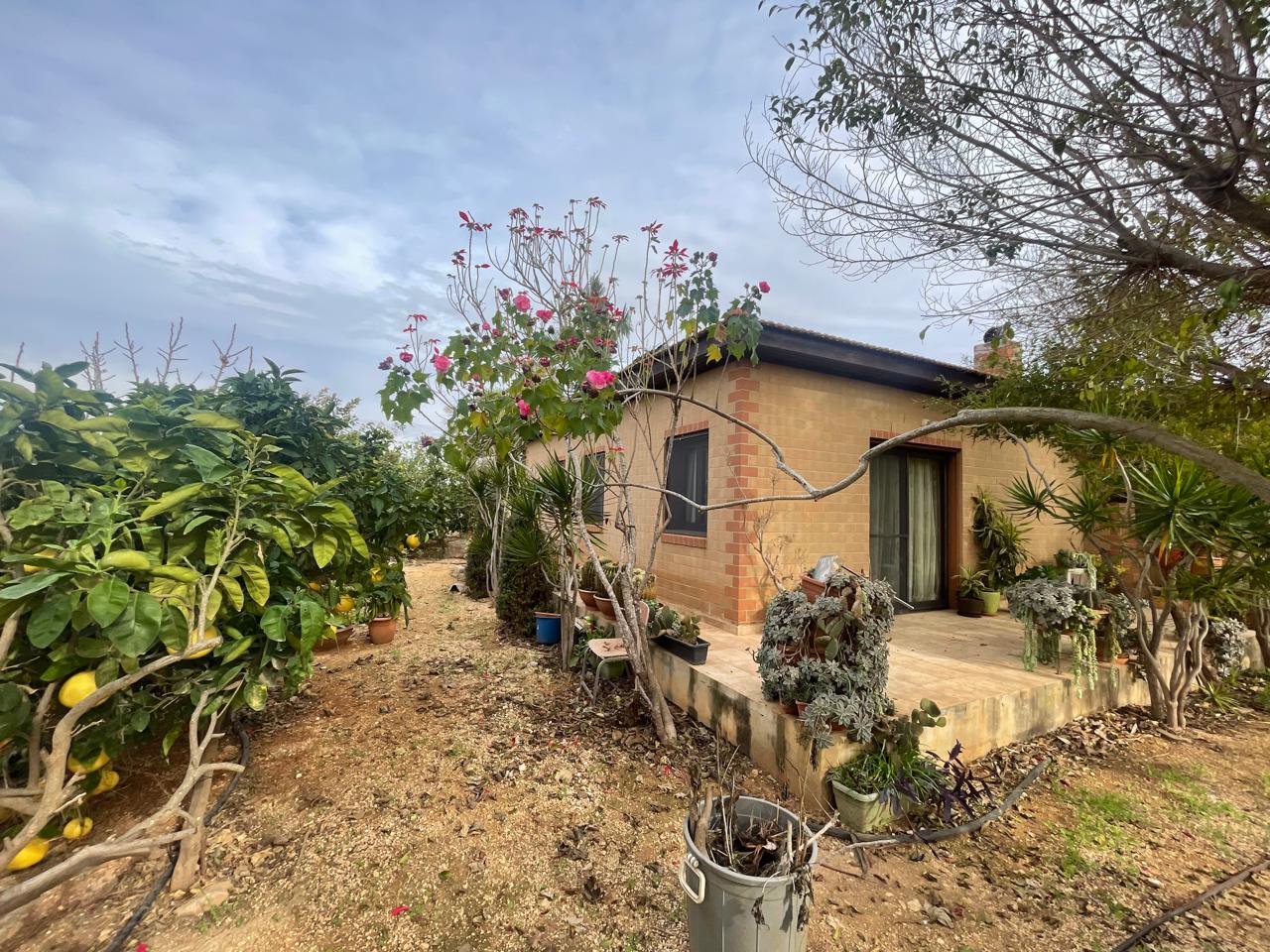 2-BUNGALOW-IN-ORMIDIA-9314