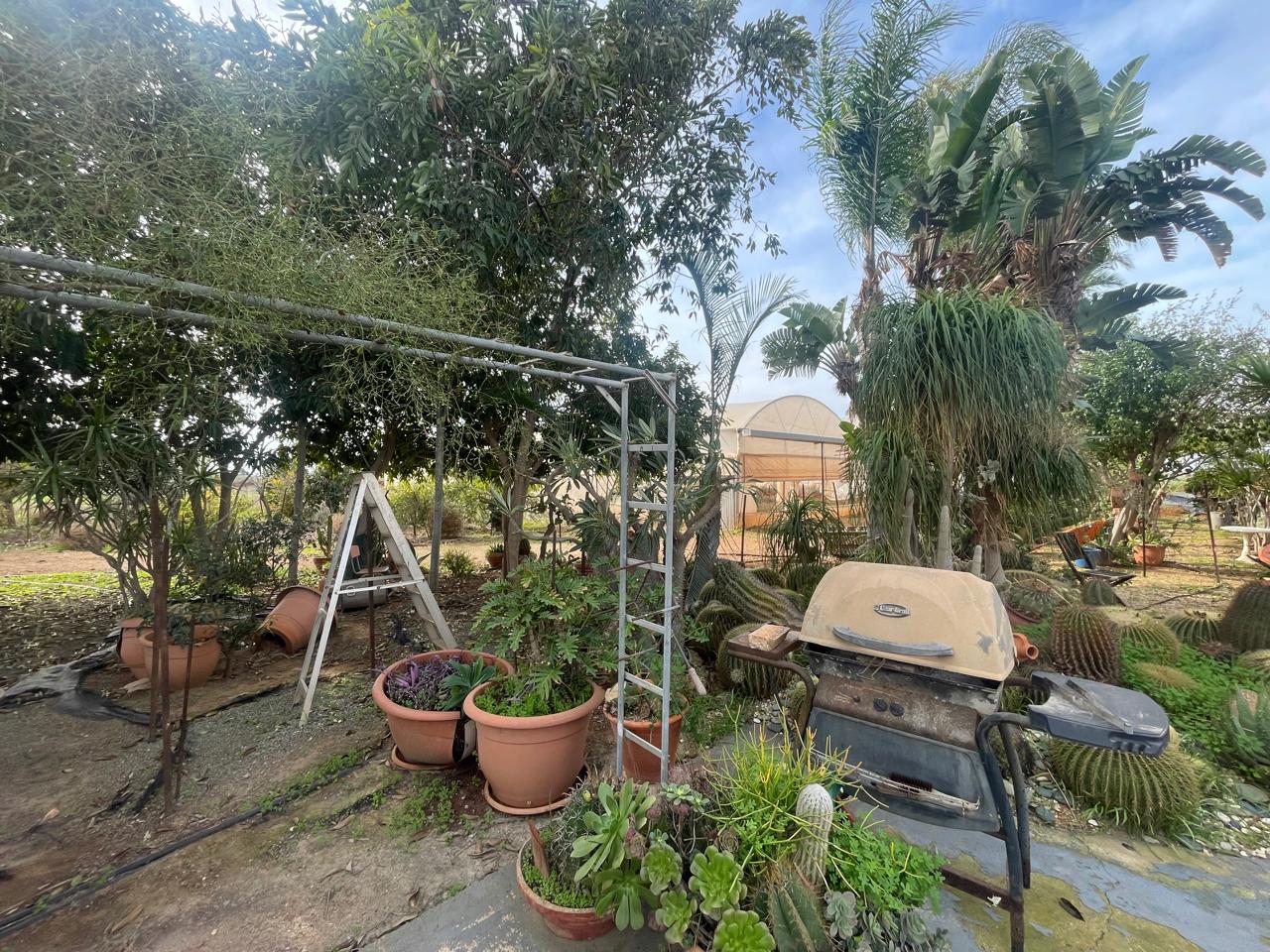 4-BUNGALOW-IN-ORMIDIA-9314