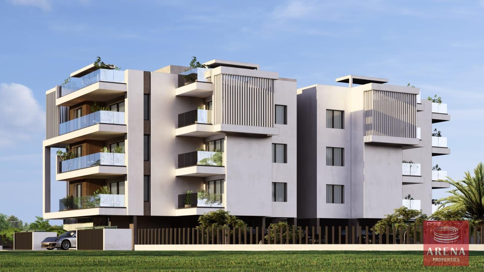 6-APTS-IN-ARADIPPOU-8236-2