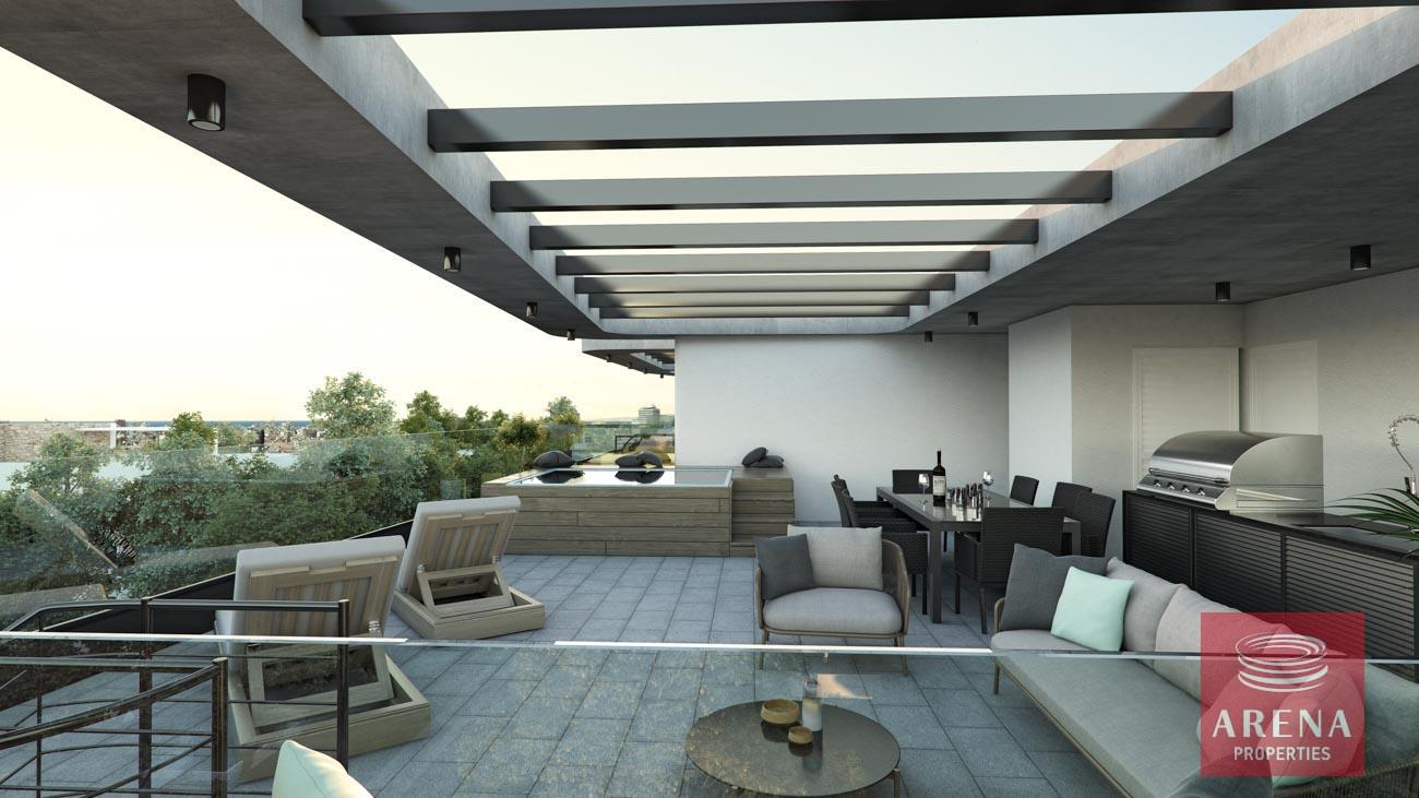 APTS-IN-LIVADOA-AREA-8775-22-4