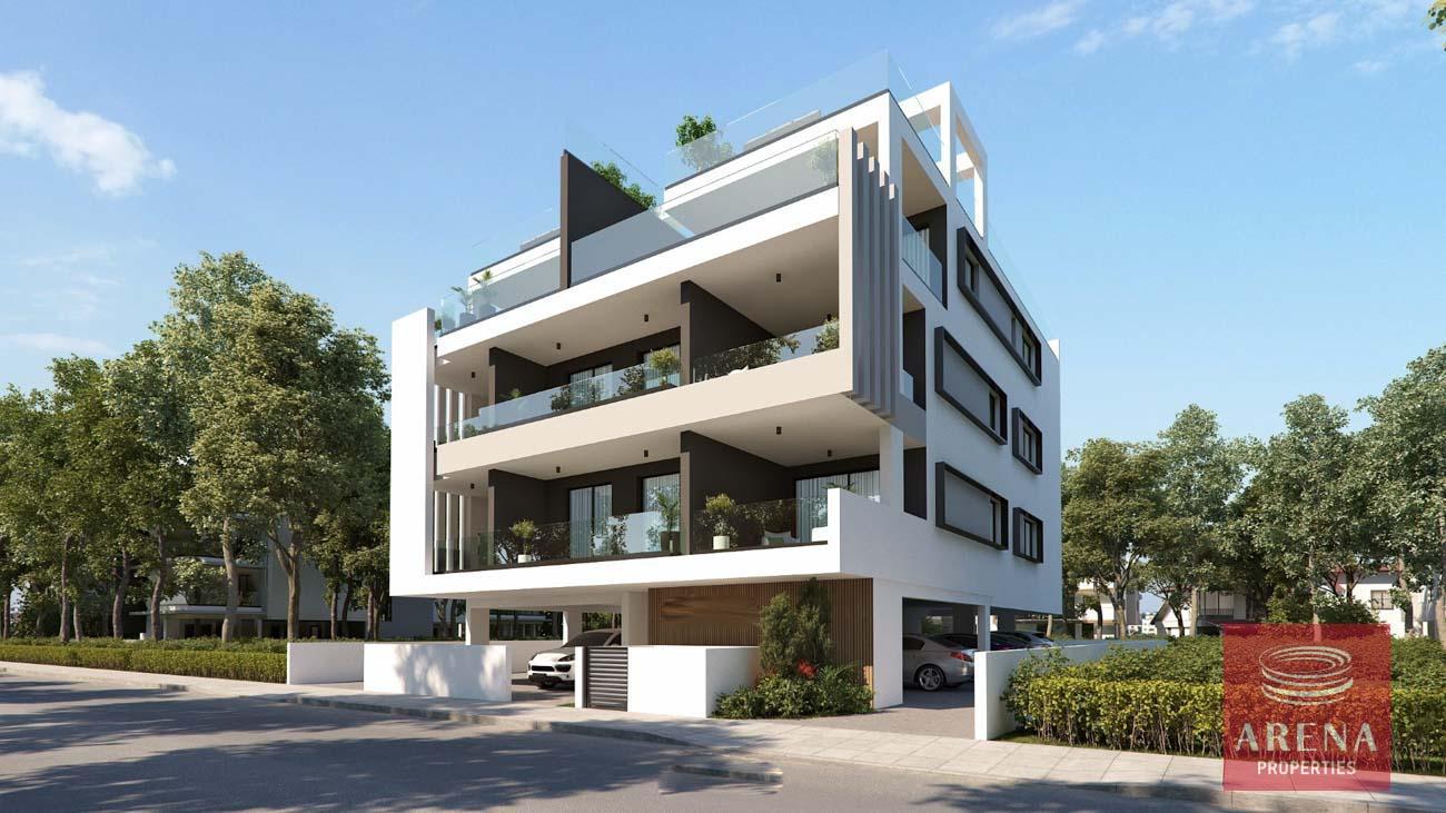 1-APTS-IN-DROSIA-9165-5
