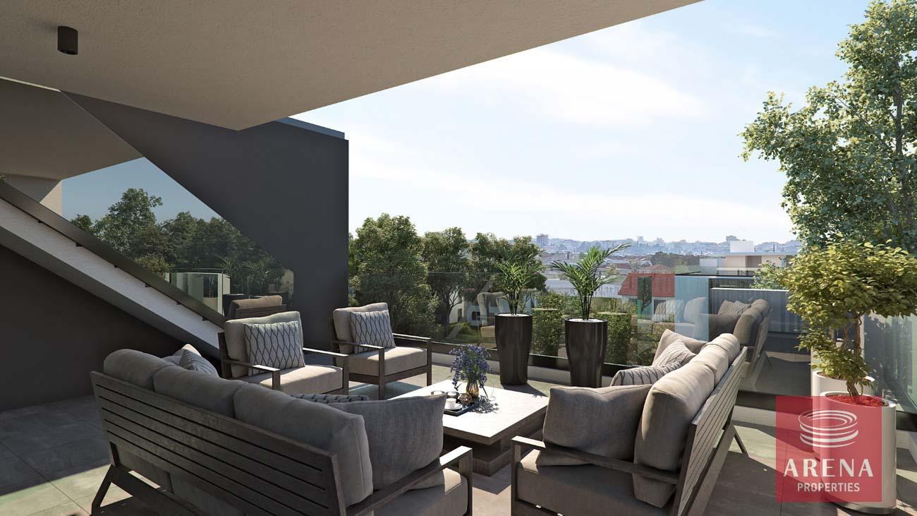 12-APTS-IN-DROSIA-9165-5