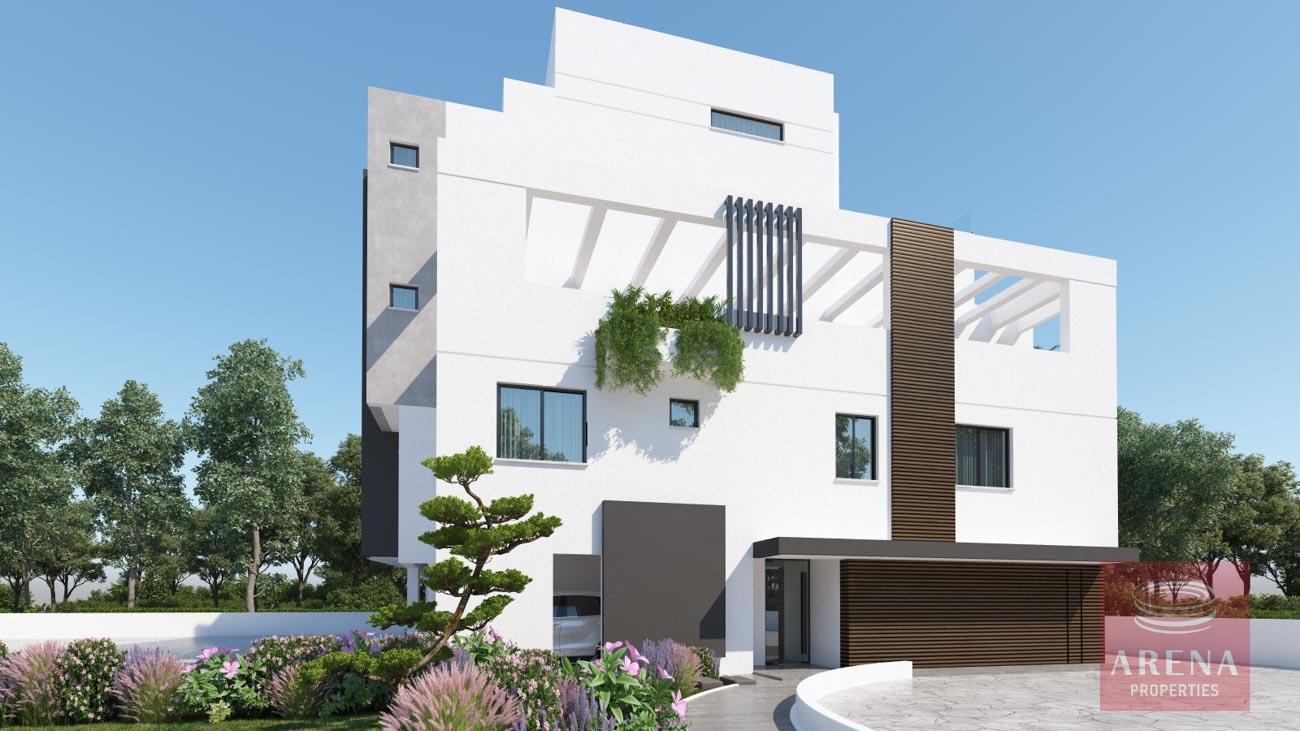 3-APTS-IN-ARADIPOOU-8735