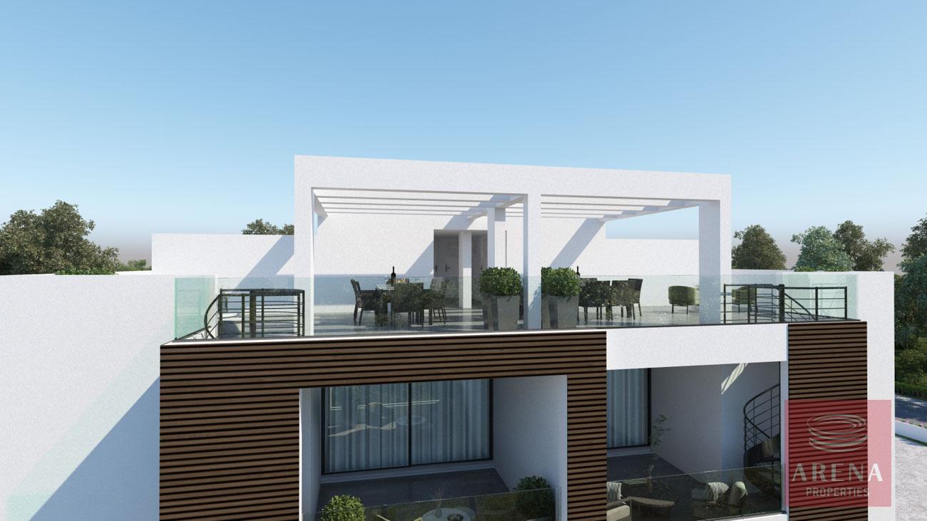 9-APTS-IN-ARADIPOOU-8735