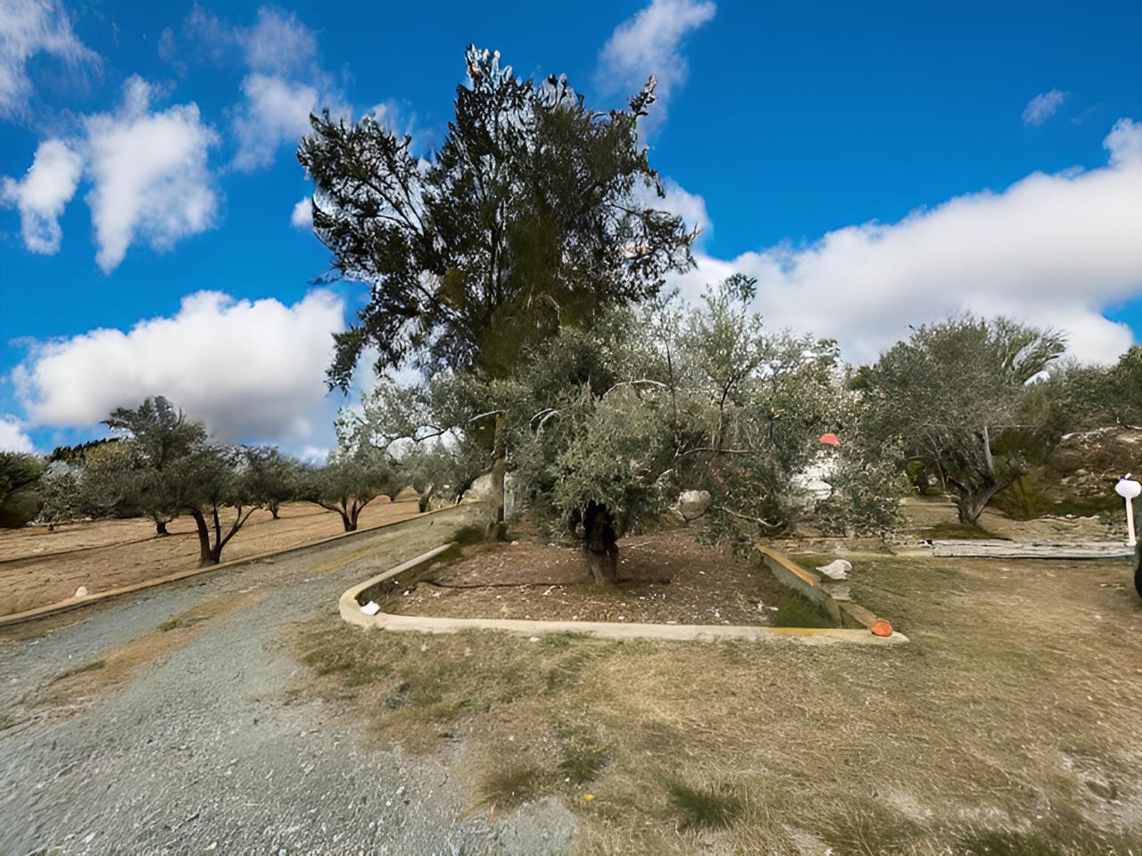 1-4-BED-VILLA-FOR-SALE-IN-AGIA-THEKLA-9489-41