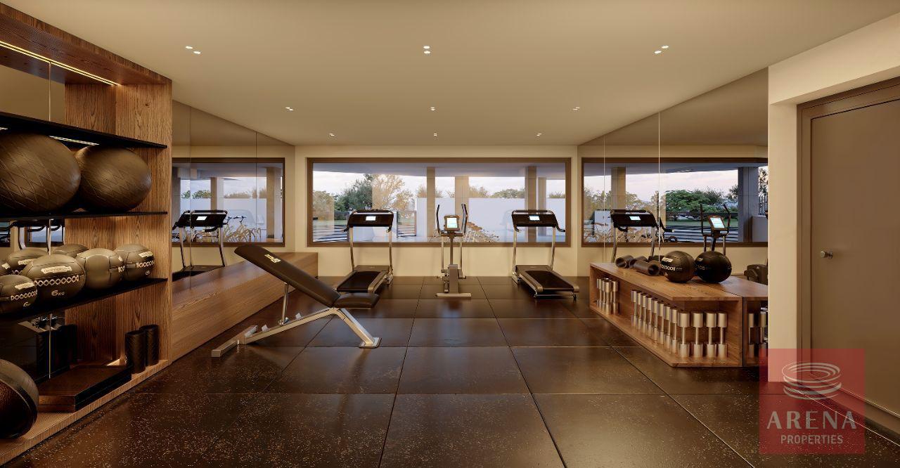 1-APTS-IN-PERVOLIA-9863-13-4