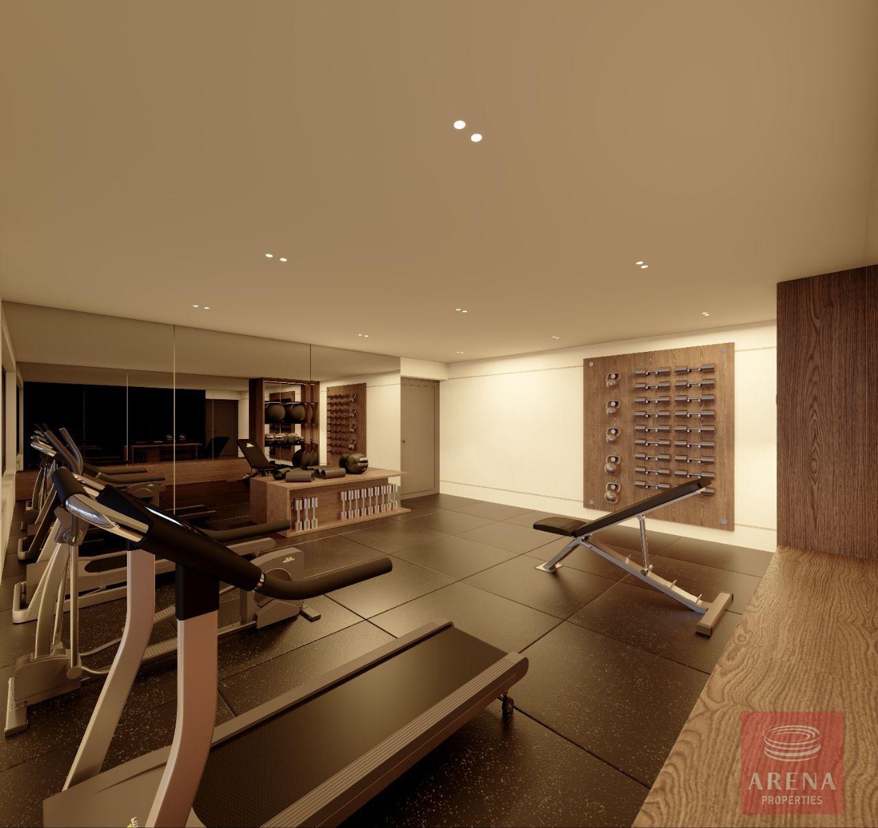 1-APTS-IN-PERVOLIA-9863-15-5