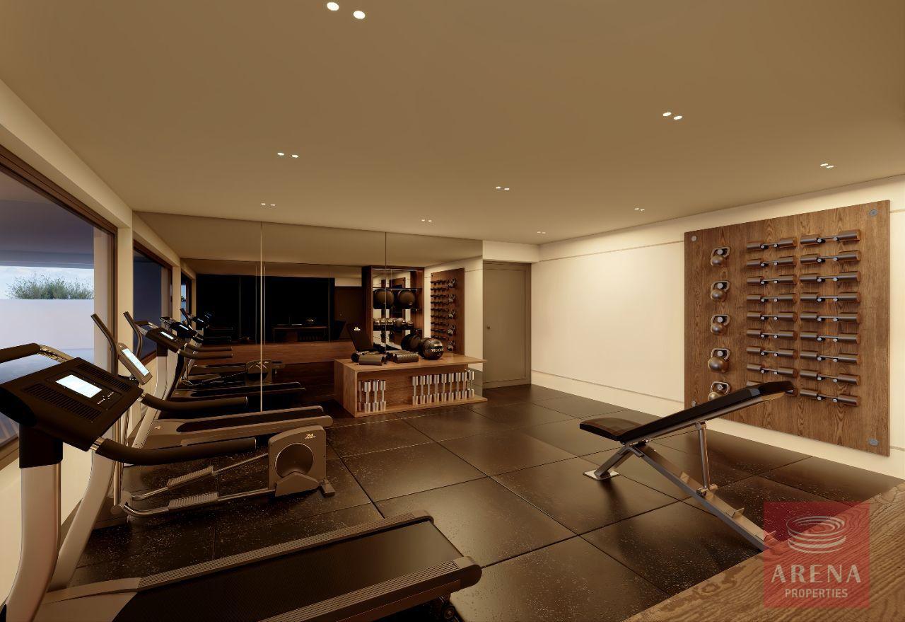 1-APTS-IN-PERVOLIA-9863-16-4