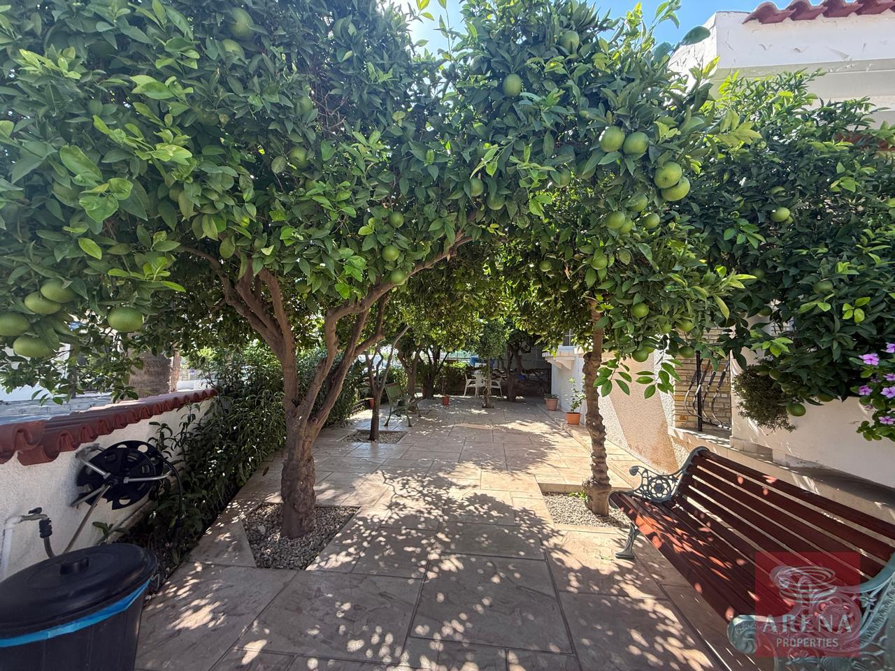 6ac8b07246337-2